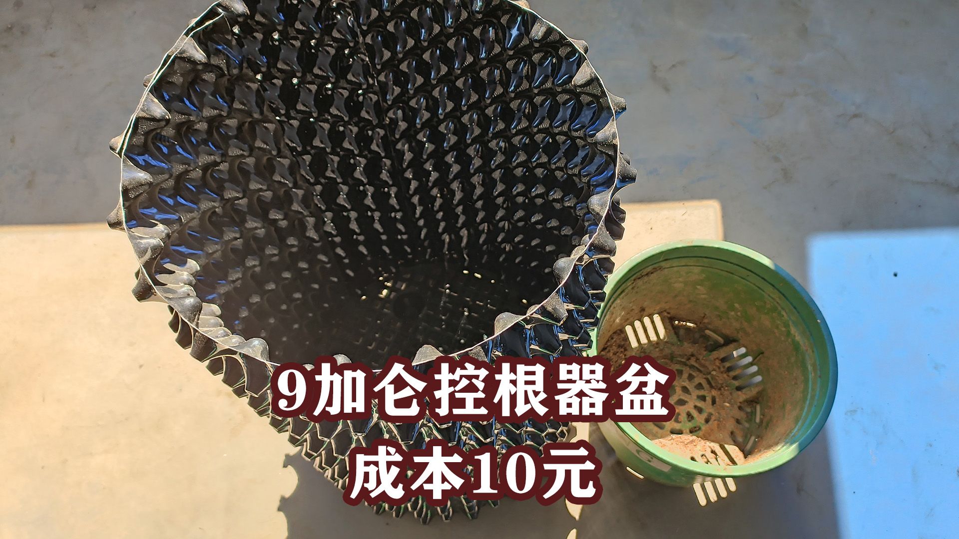 控根器花盆diy,便宜透气体积大,就是费水哔哩哔哩bilibili