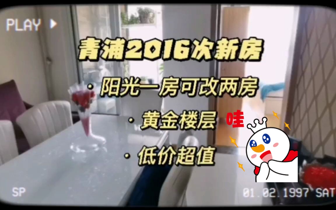 青浦2016次新房!阳光一房可改两房,黄金楼层,低价超值!哔哩哔哩bilibili