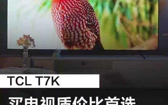 只有用过才知道,T7K到底有多香! tcl 沉浸式观影 巨幕电视 tcl电视 家庭影院 F2507哔哩哔哩bilibili