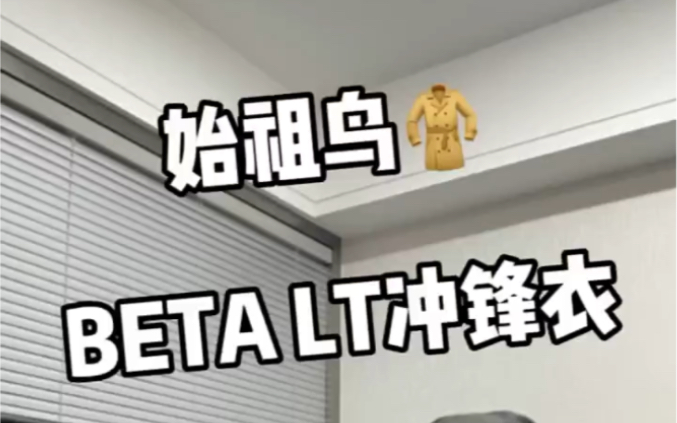 始祖鸟BETA LT细节讲解哔哩哔哩bilibili