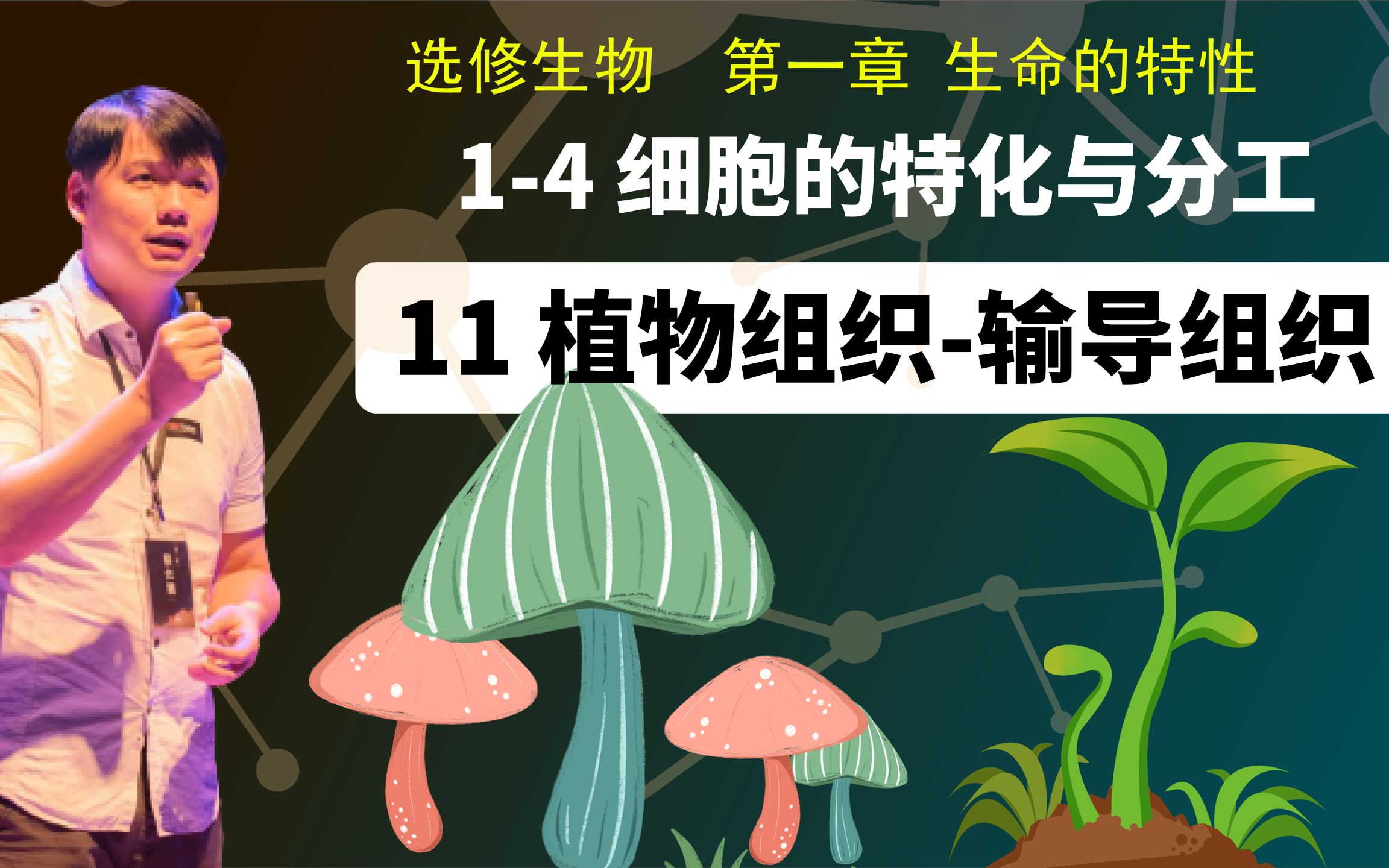 选修生物14.11 植物组织输导组织哔哩哔哩bilibili