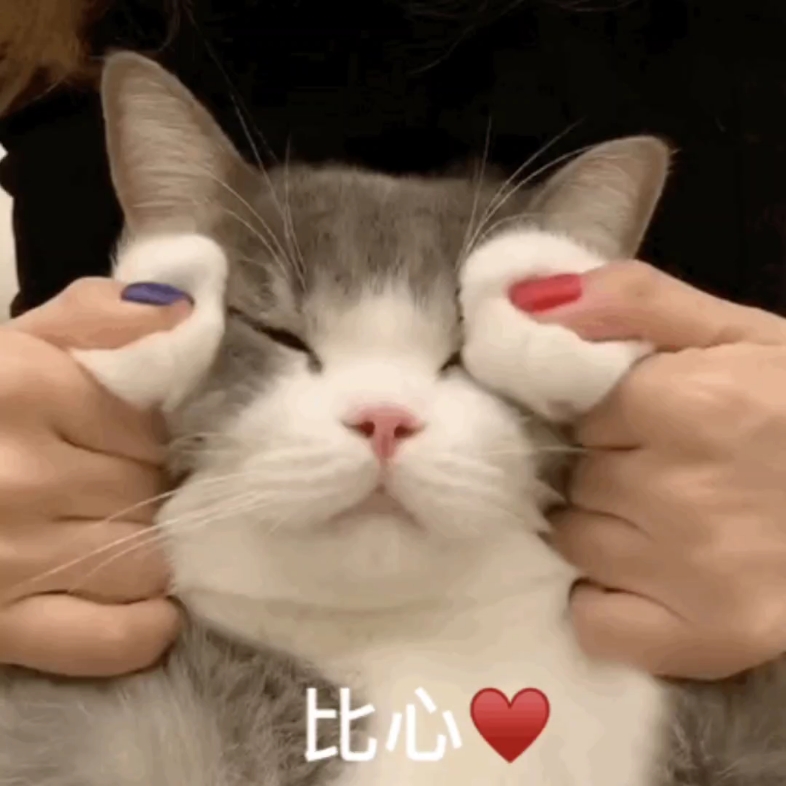 伟德bv1946官网-马颊河度假村