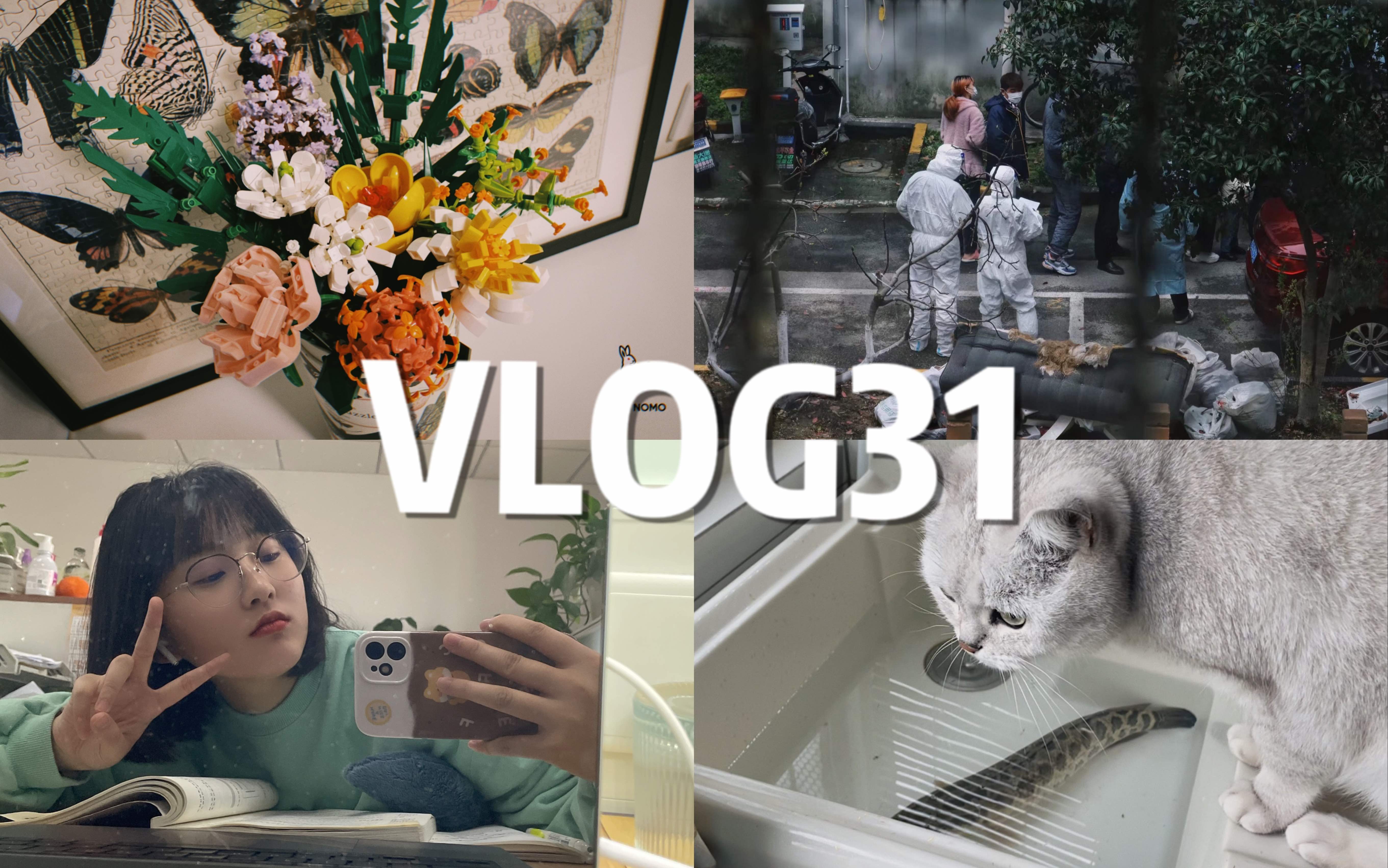 「HANE」VLOG31||封前封后的那些事儿哔哩哔哩bilibili