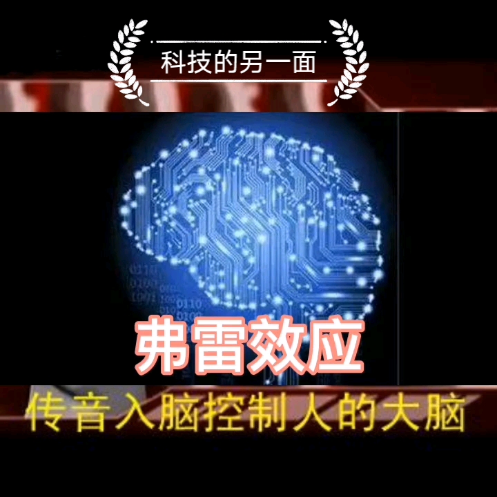 什么是弗雷效应?哔哩哔哩bilibili