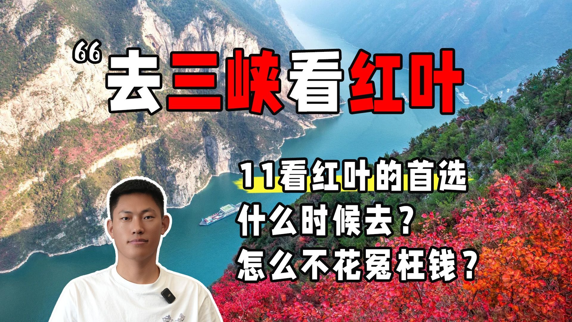 11月看红叶的首选，三峡红叶的保姆级攻略，那什么时候去合适，怎么不花冤枉钱，一个视频讲清楚！