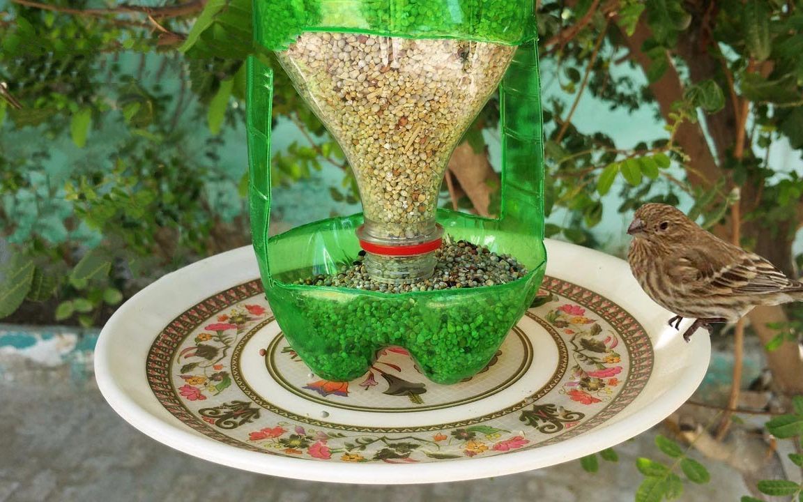 矿泉水瓶鸟类投食器图片
