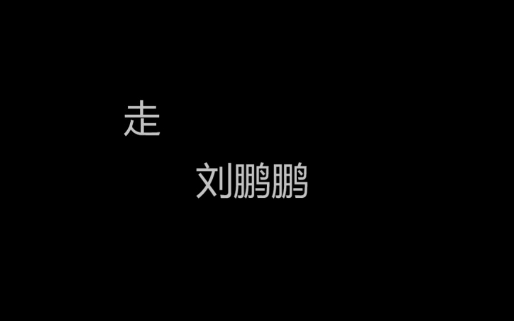 刘鹏鹏《走》特别喜欢的一首歌,就做了个MV.听听看吧!!!哔哩哔哩bilibili