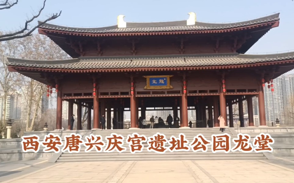 西安唐兴庆宫遗址公园龙堂,堂内青铜巨龙雕塑气势磅礴无比震撼