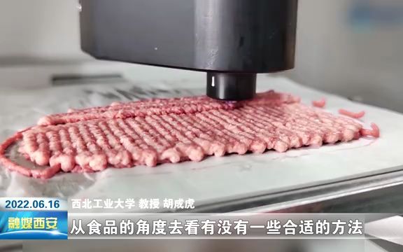 佰鸿集团的干细胞技术3D打印人造肉哔哩哔哩bilibili