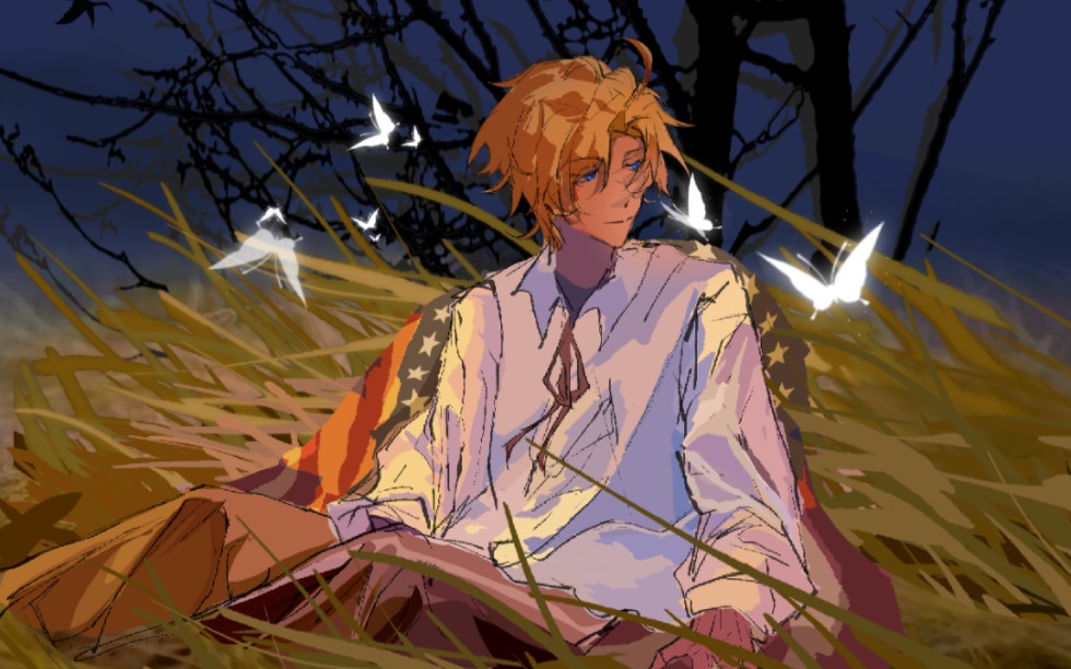 【黑塔利亚/阿尔弗雷德同人】"月光"