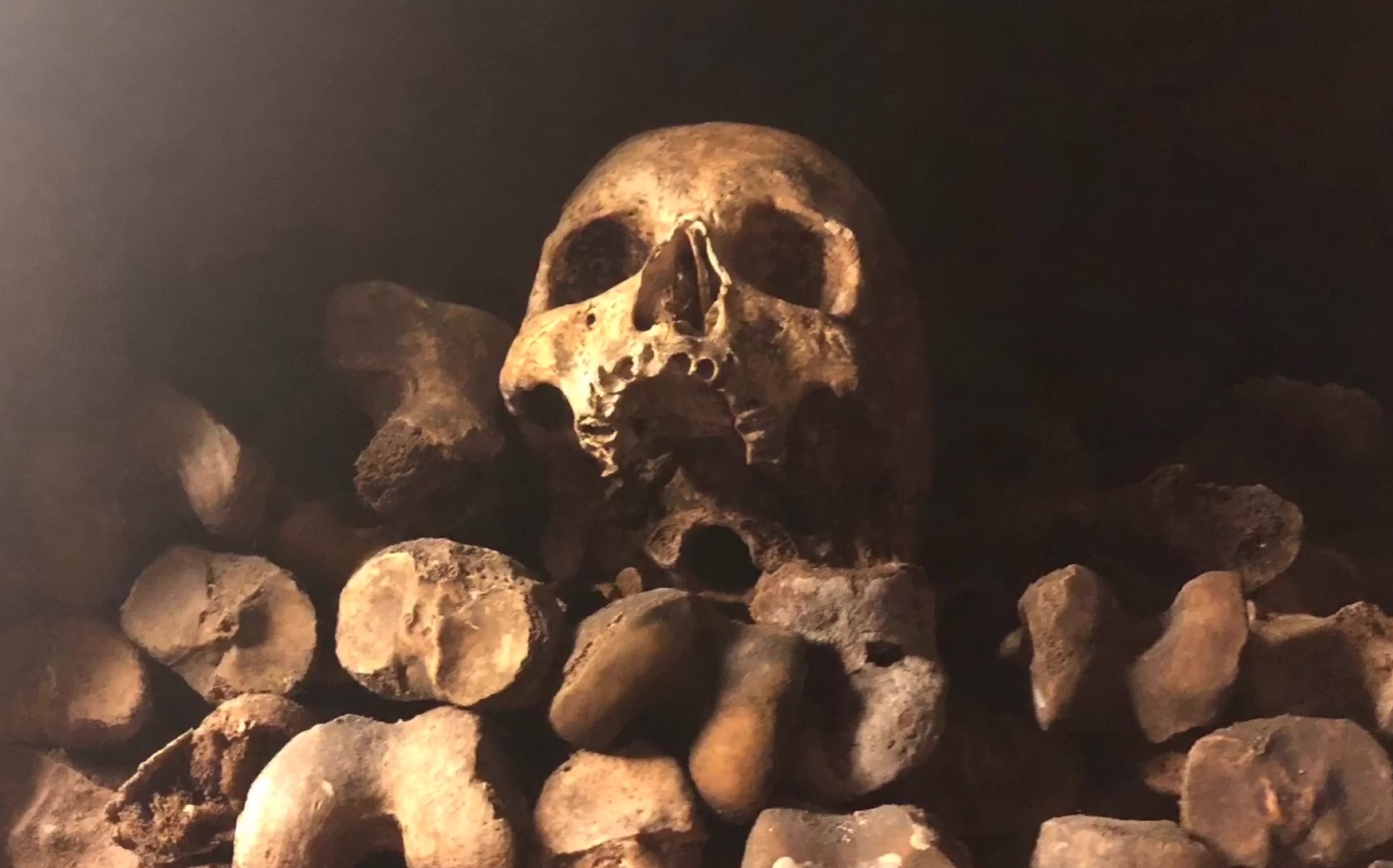 【胆小慎入】巴黎地下人骨墓穴