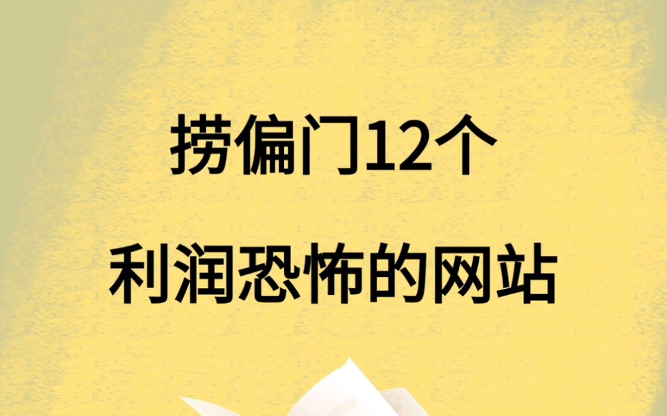 12个捞偏门,利润惊人的网站,快收藏哔哩哔哩bilibili