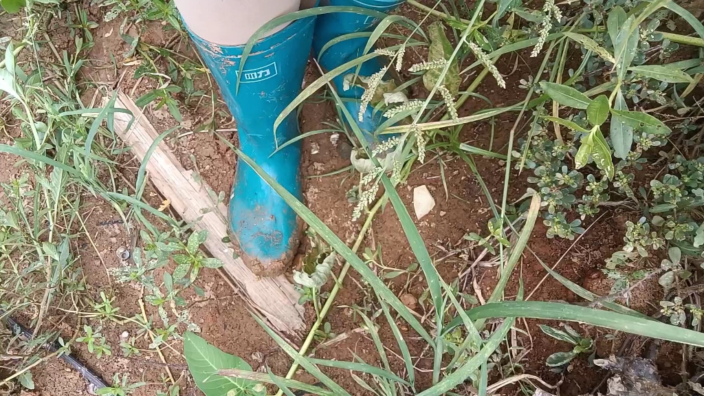 [图]雨鞋踩泥后续