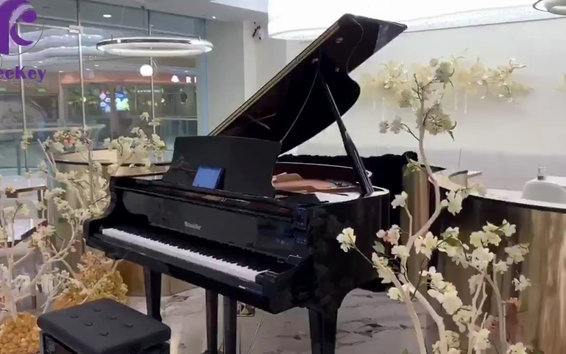 西餐厅里的自动演奏钢琴,一边用餐一边享受钢琴音乐,太美妙啦