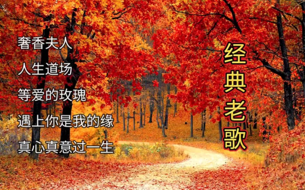 [图]经典老歌合集《奢香夫人》《人生道场》《等爱的玫瑰》《遇上你是我的缘》《真心真意过一生》