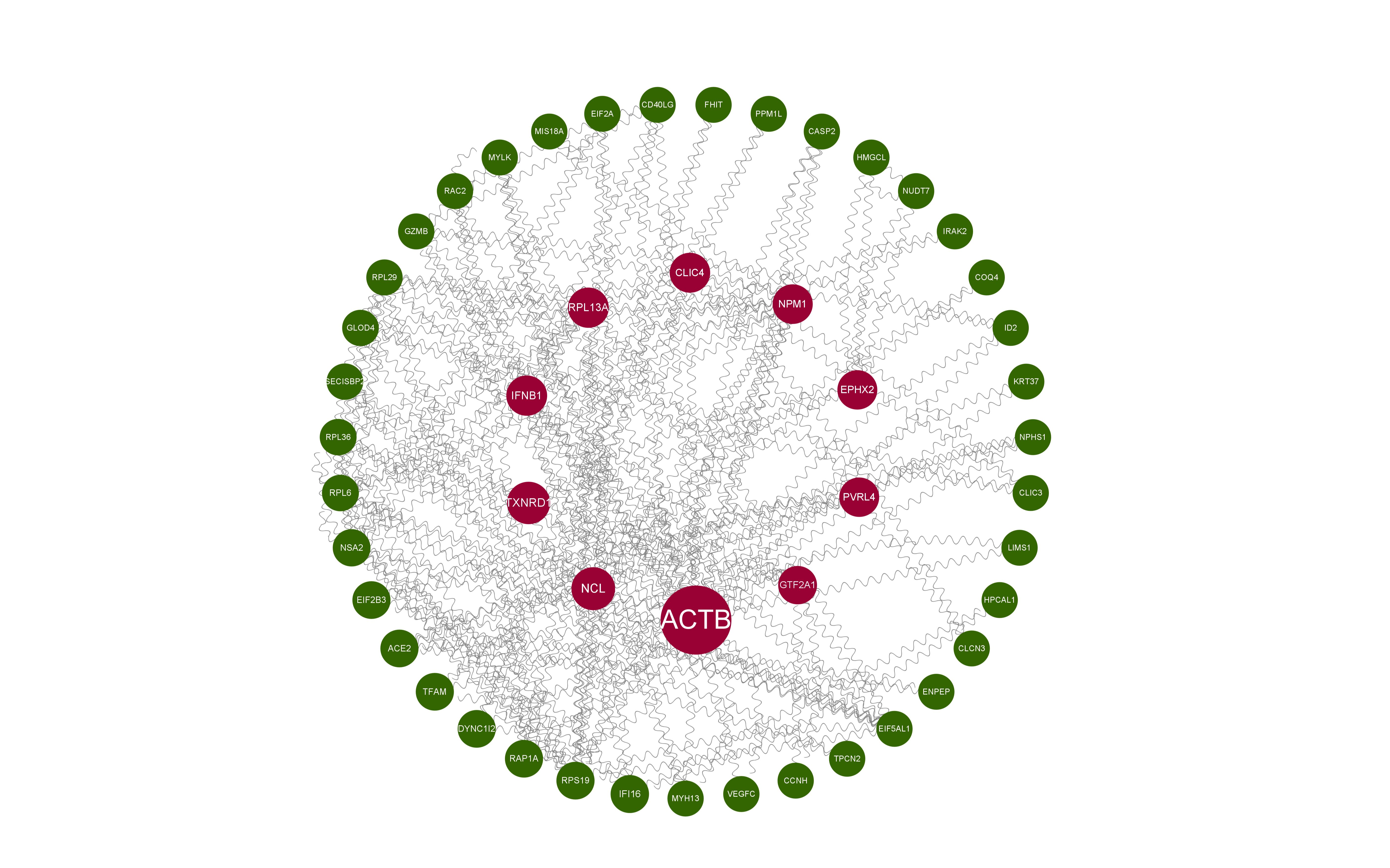 PPI网络:蛋白互作网络的构建与核心基因的筛选(string数据库,cytoscape软件与cytoNCA插件)哔哩哔哩bilibili