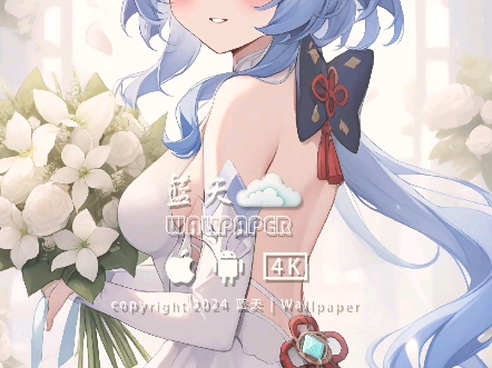 【壁纸】原神壁纸 | 甘雨 | 4k高清 | iphone主题
