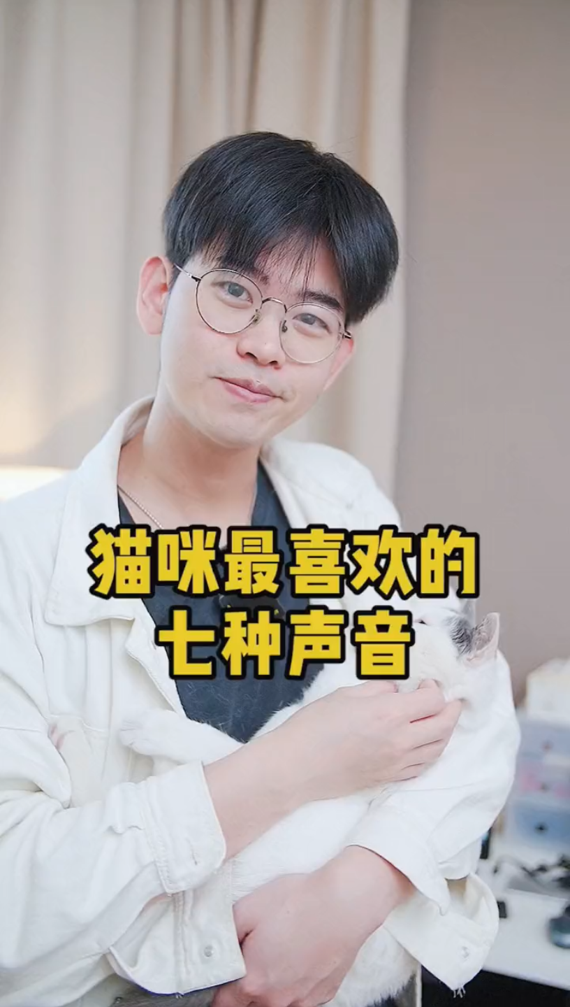 猫咪最喜欢的七种声音哔哩哔哩bilibili