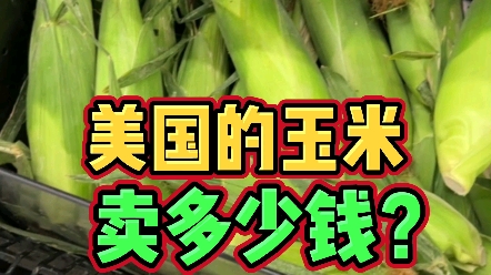 查了下资料,由于产量巨大,所以美国的玉米出农场价大概5毛57毛1一斤.#玉米价格 #vlog日常 #玉米事件哔哩哔哩bilibili