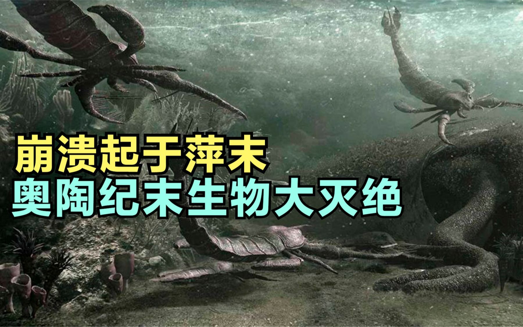 奥陶纪末生物大灭绝:崩溃起于萍末,冰火两重天哔哩哔哩bilibili