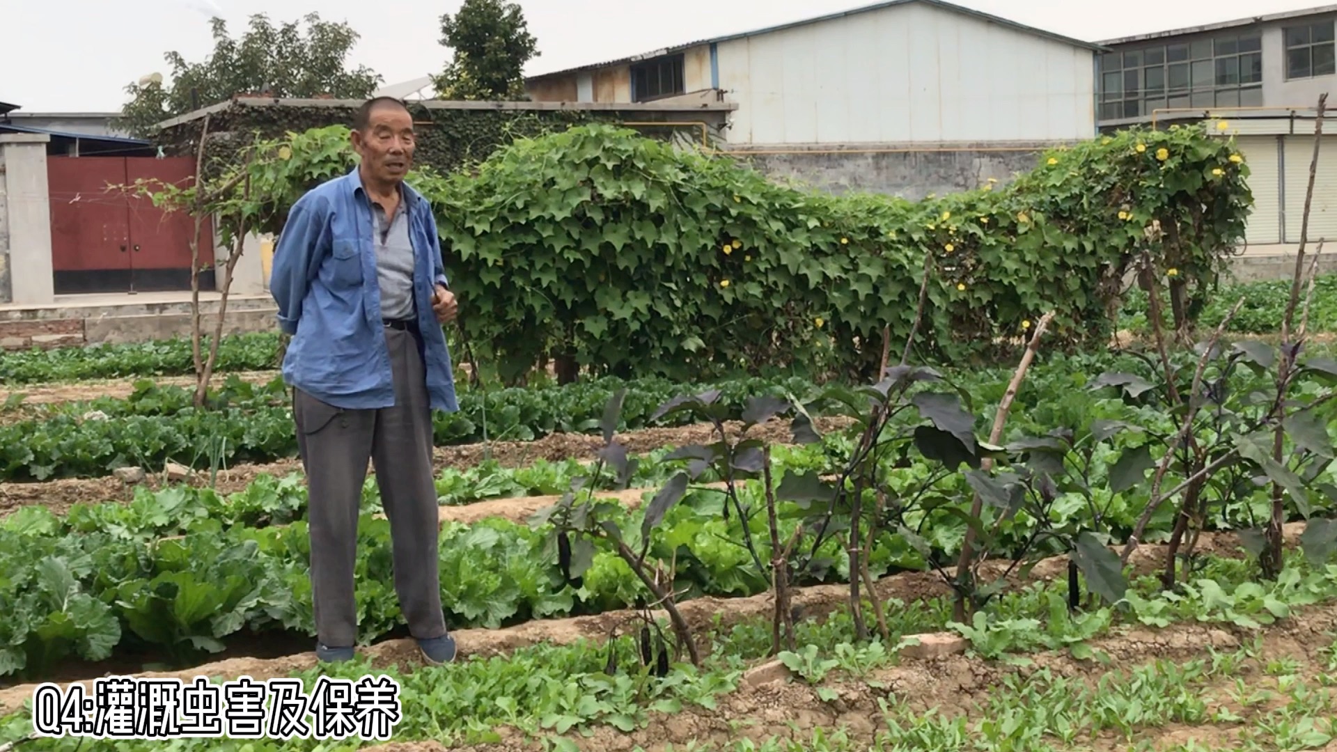 [图]曲阜农业民俗采风报告