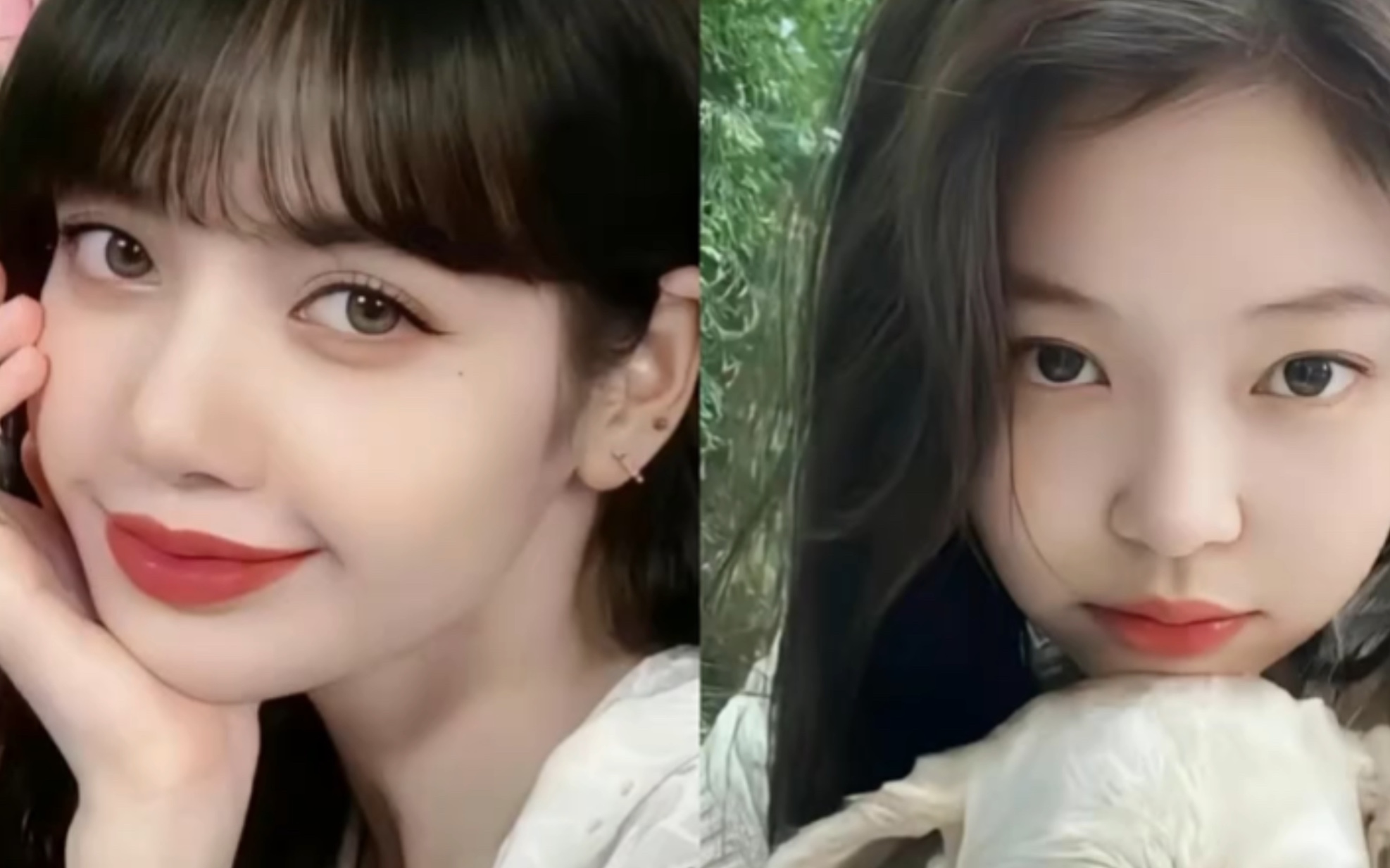 谁是kpop女一? lisa/jennie?