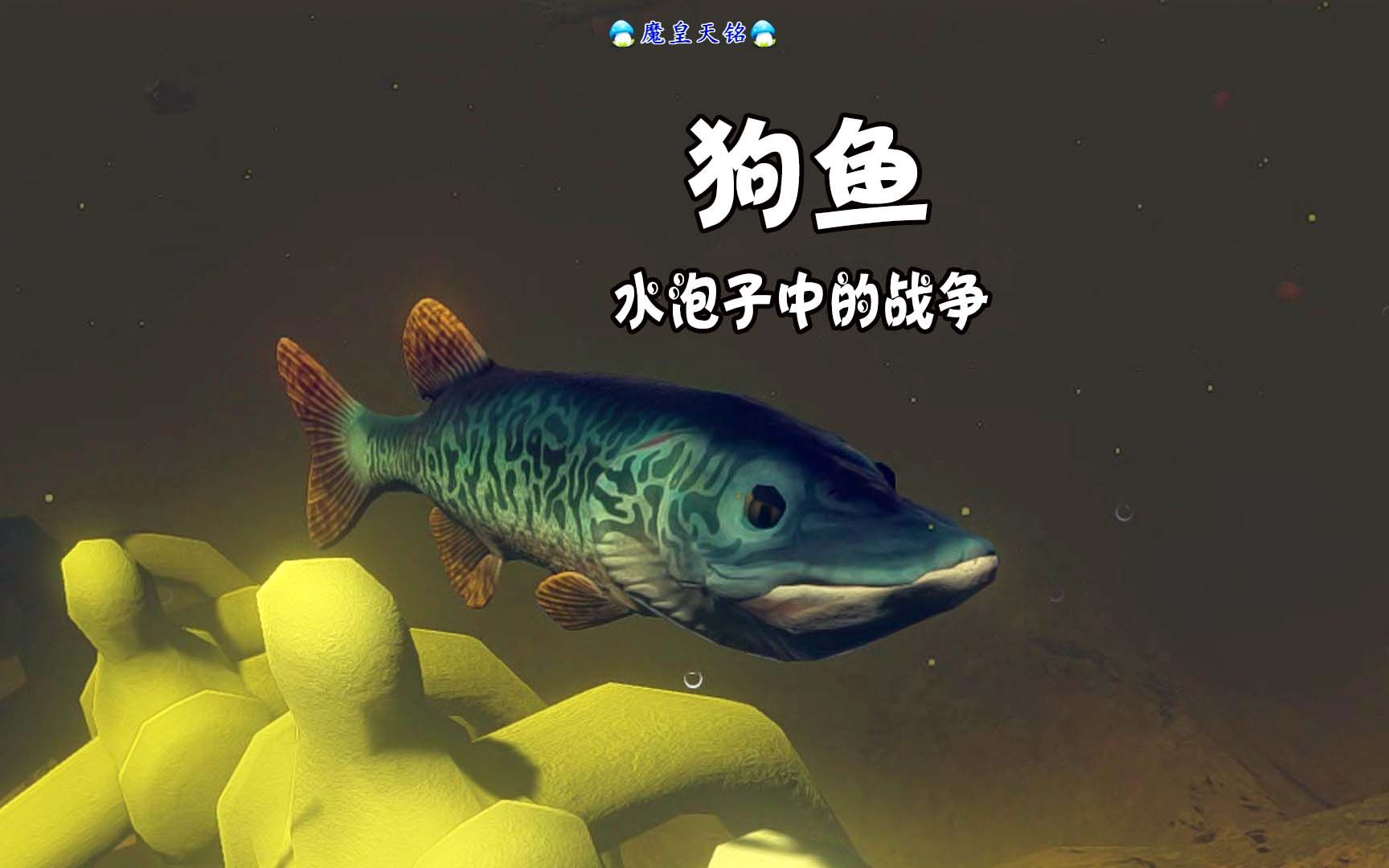 天铭海底大猎杀第三季06天降狗鱼拯救小可爱霓虹脂鲤