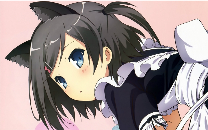 不笑猫  小豆梓才不是狐狸精!