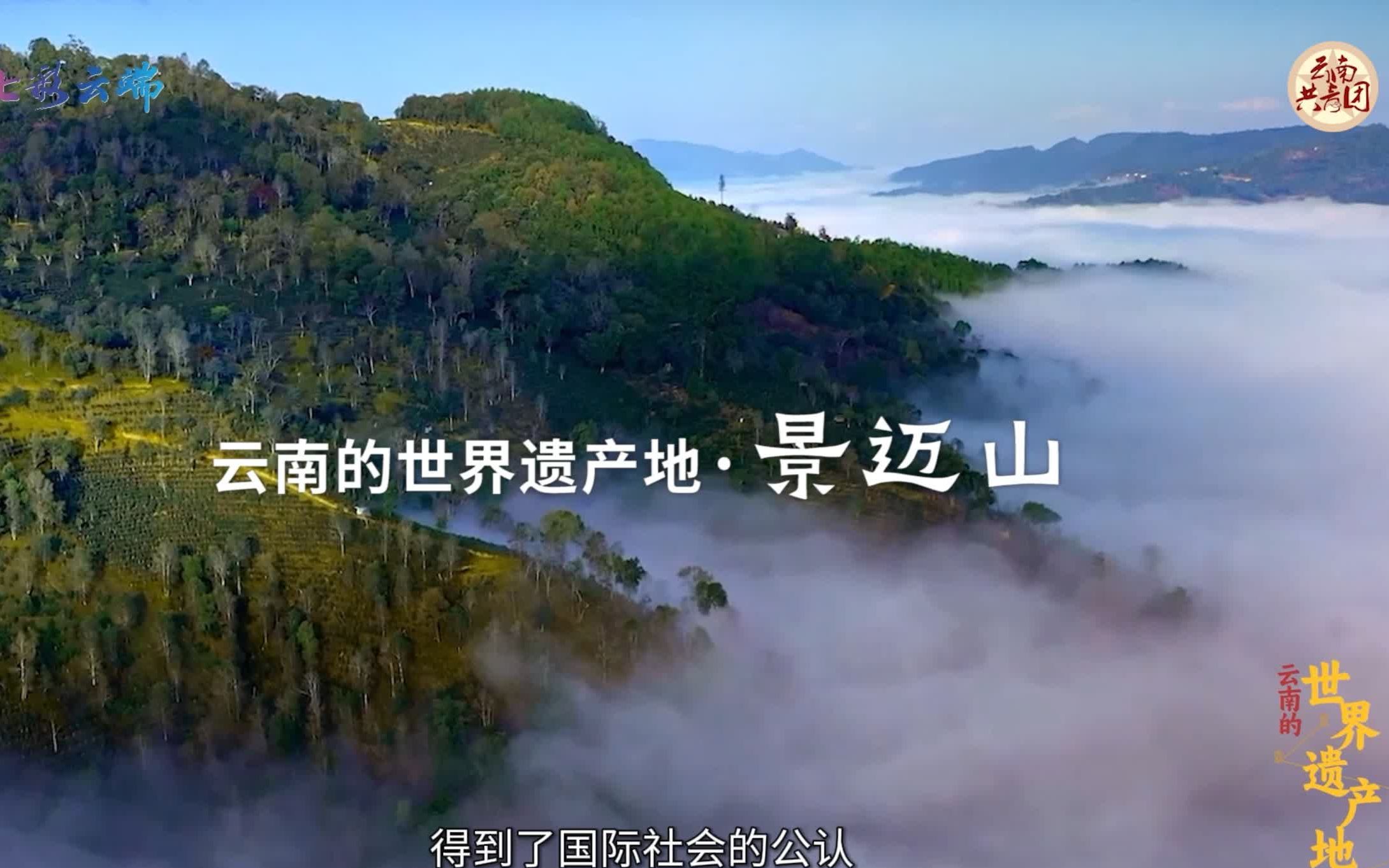 追云记丨漫漫13年!探寻景迈山申遗背后的故事