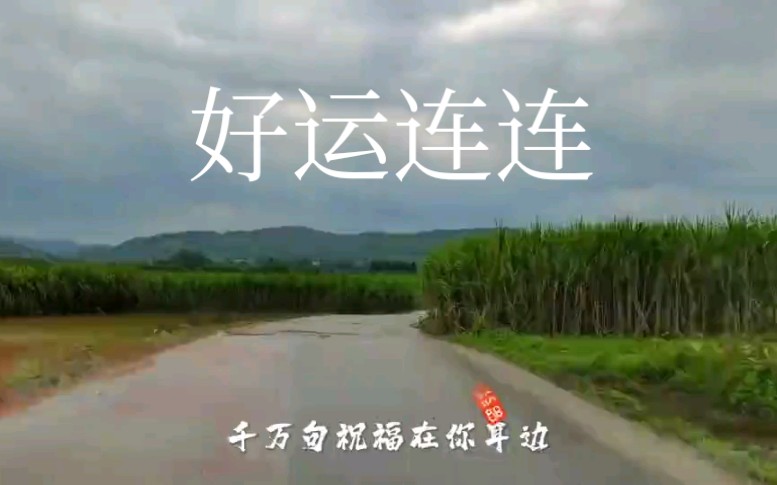 [图]歌曲《好运连连》