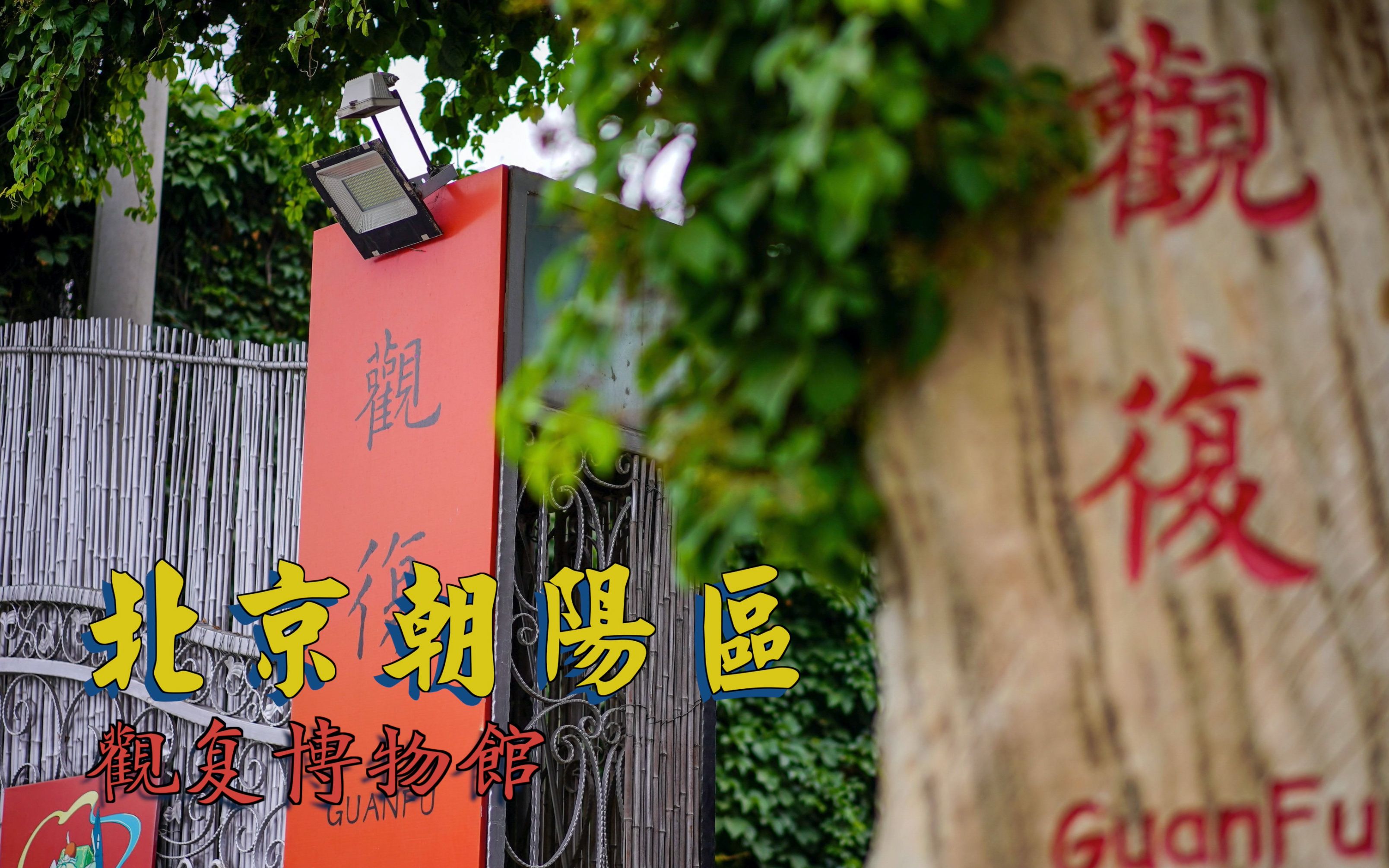 北京观复博物馆 可以吸猫的地方 今天在这有幸与马未都老师面对面