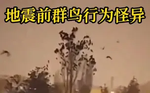 Tải video: 土耳其大地震前 成群鸟儿行为怪异