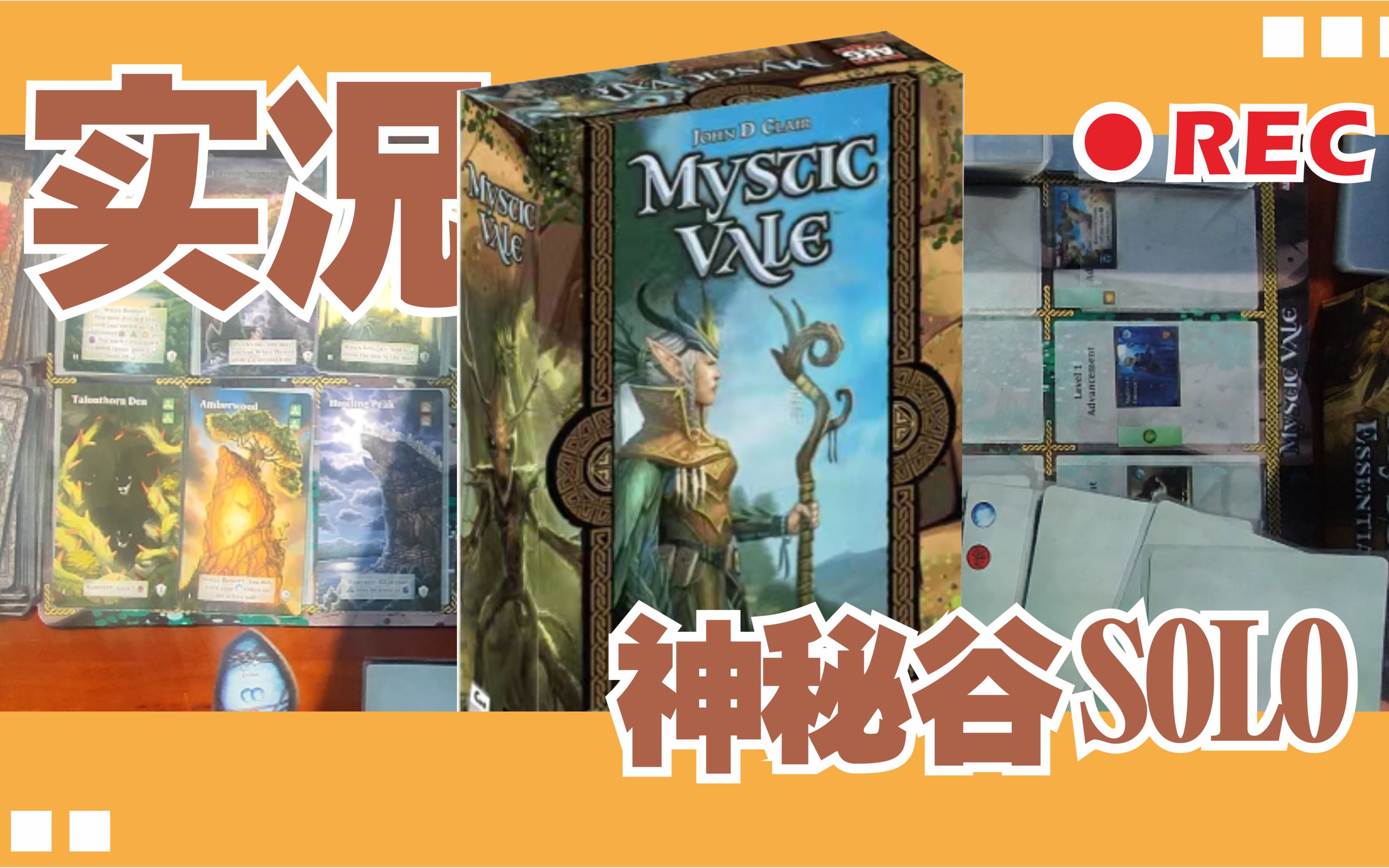 【桌游SOLO】神秘谷 MYSTIC VALE—游戏推荐、简介、自制SOLO玩法~~桌游棋牌热门视频