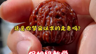 文玩核桃-哔哩哔哩_Bilibili