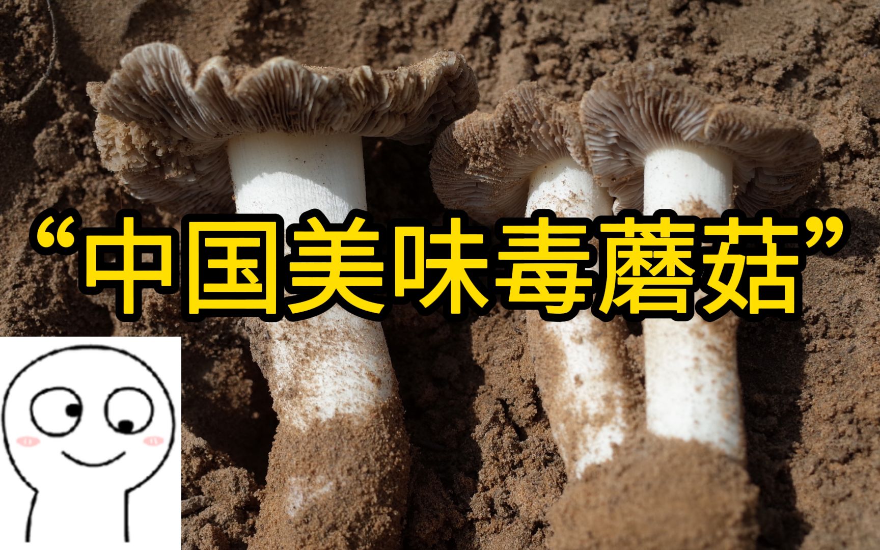 中国美味蘑菇吃中毒了?鉴定发现吃了"中国美味毒蘑菇"