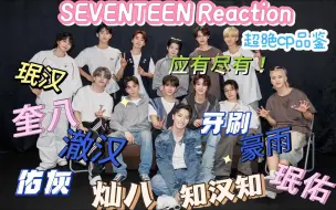 Tải video: 【SEVENTEEN Reaction】内娱养老人品鉴SEVENTEEN团内CP，种类应有尽有之1.0