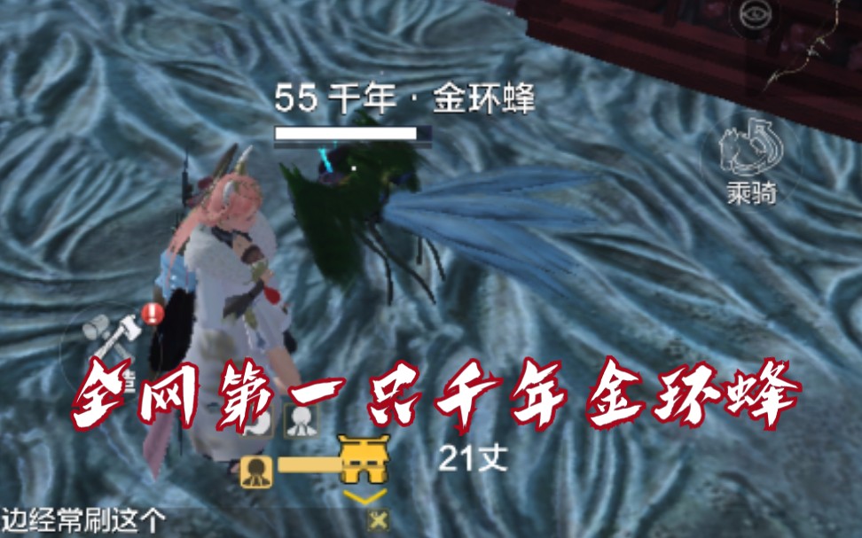 【妄想山海】退休一个多月的金环蜂重新上线(非体验服内容!
