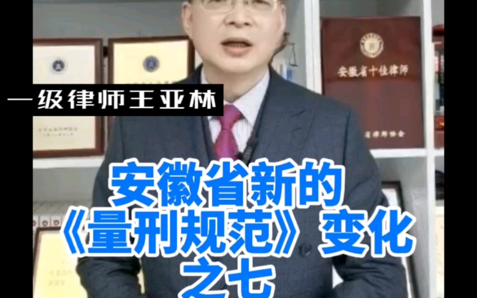 安徽省新的《量刑规范》变化之七#量刑 #集资诈骗罪 #刑辩律师王亚林 #罚金#有期徒刑哔哩哔哩bilibili