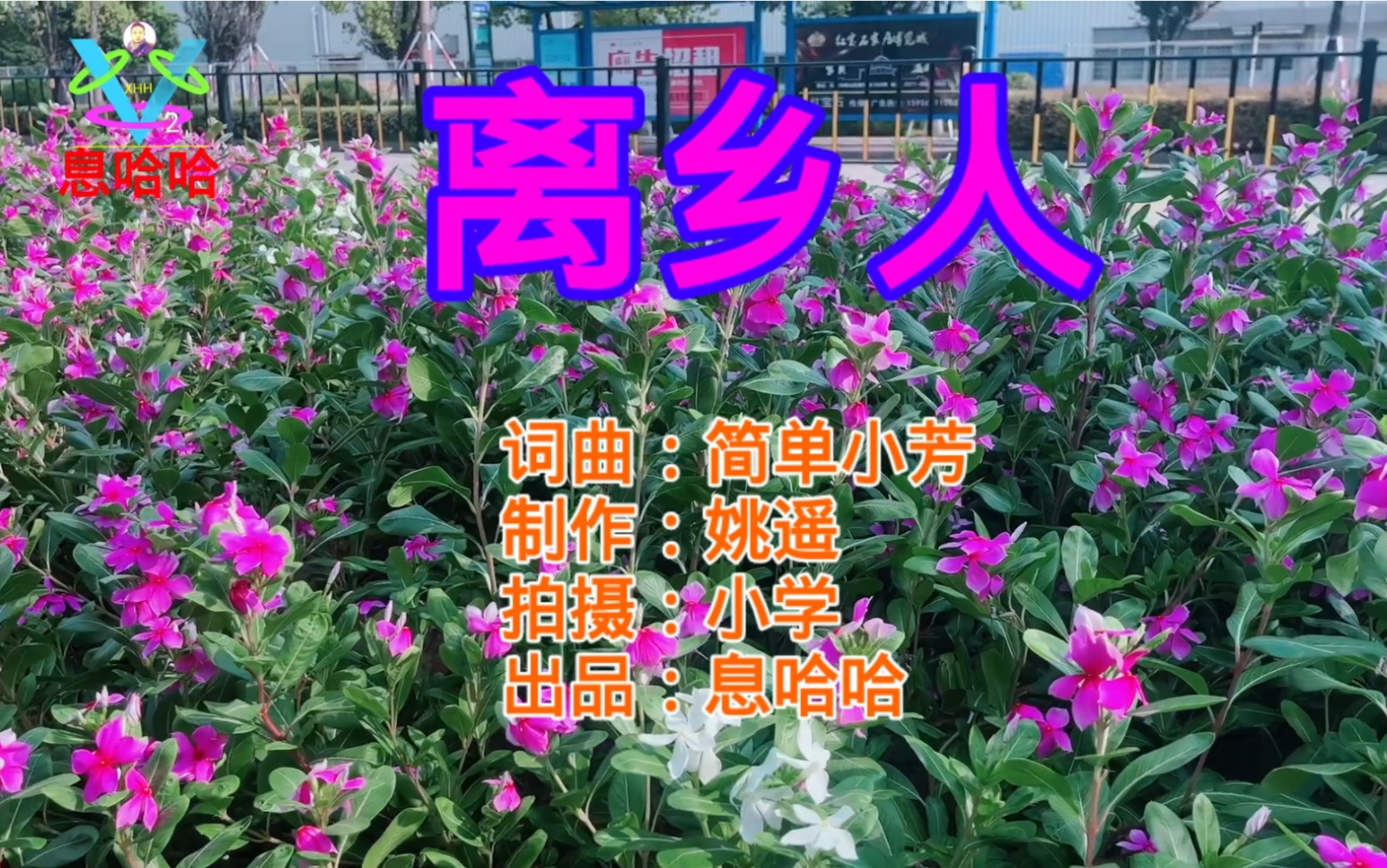 [图]赏花听歌 一首《离乡人》歌曲展播 百花盛开