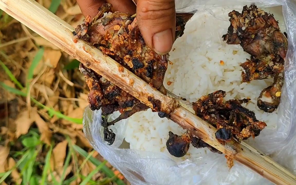 [图]越南守山人食物完全来源大自然的馈赠