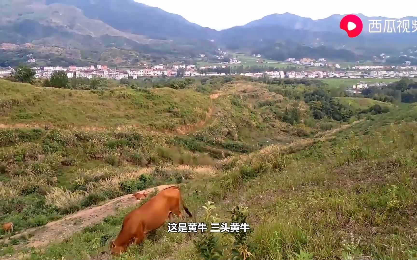 [图]去山上转的时候，偶遇一块水泥碑，上面被人写了一句很尴尬的话