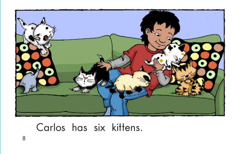 a-24carlos counts kittens