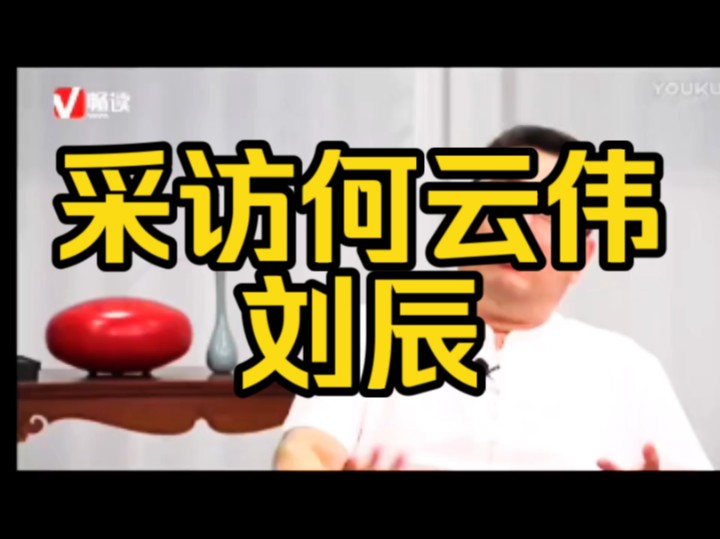 何云伟刘辰采访哔哩哔哩bilibili