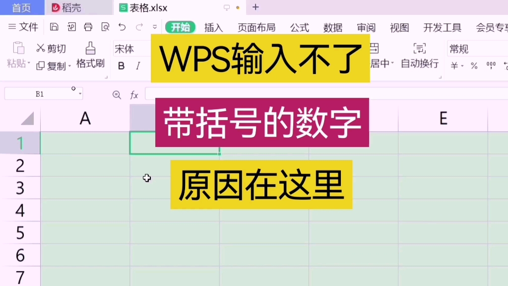 WPS输入不了 带括号数字 带数字 带加号数字 原因在这里哔哩哔哩bilibili