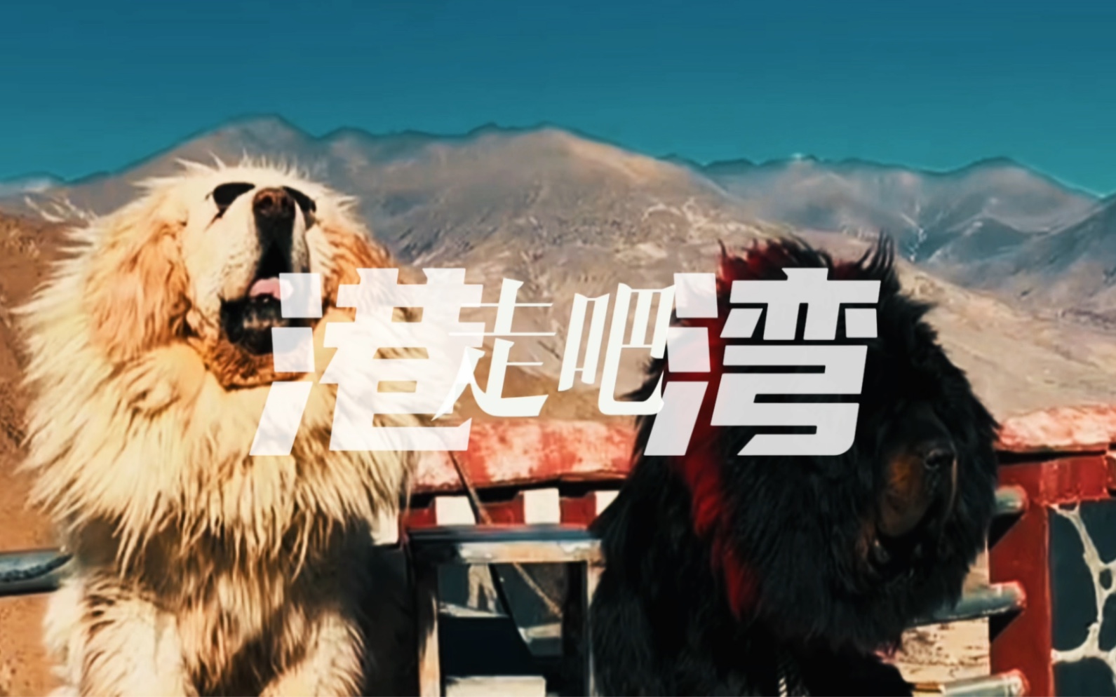 只有你自己,才是这世上唯一的避风港!