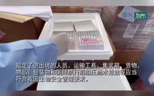 Descargar video: 上海海关截获人体细胞247支