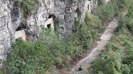 在贵州遵义的大山之间,有一个始建于1938年的“排子洞”这是由人工一锤一凿的开凿出23个洞穴19间库房来,为抗战胜利做出来了很大的贡献如今仿佛在...