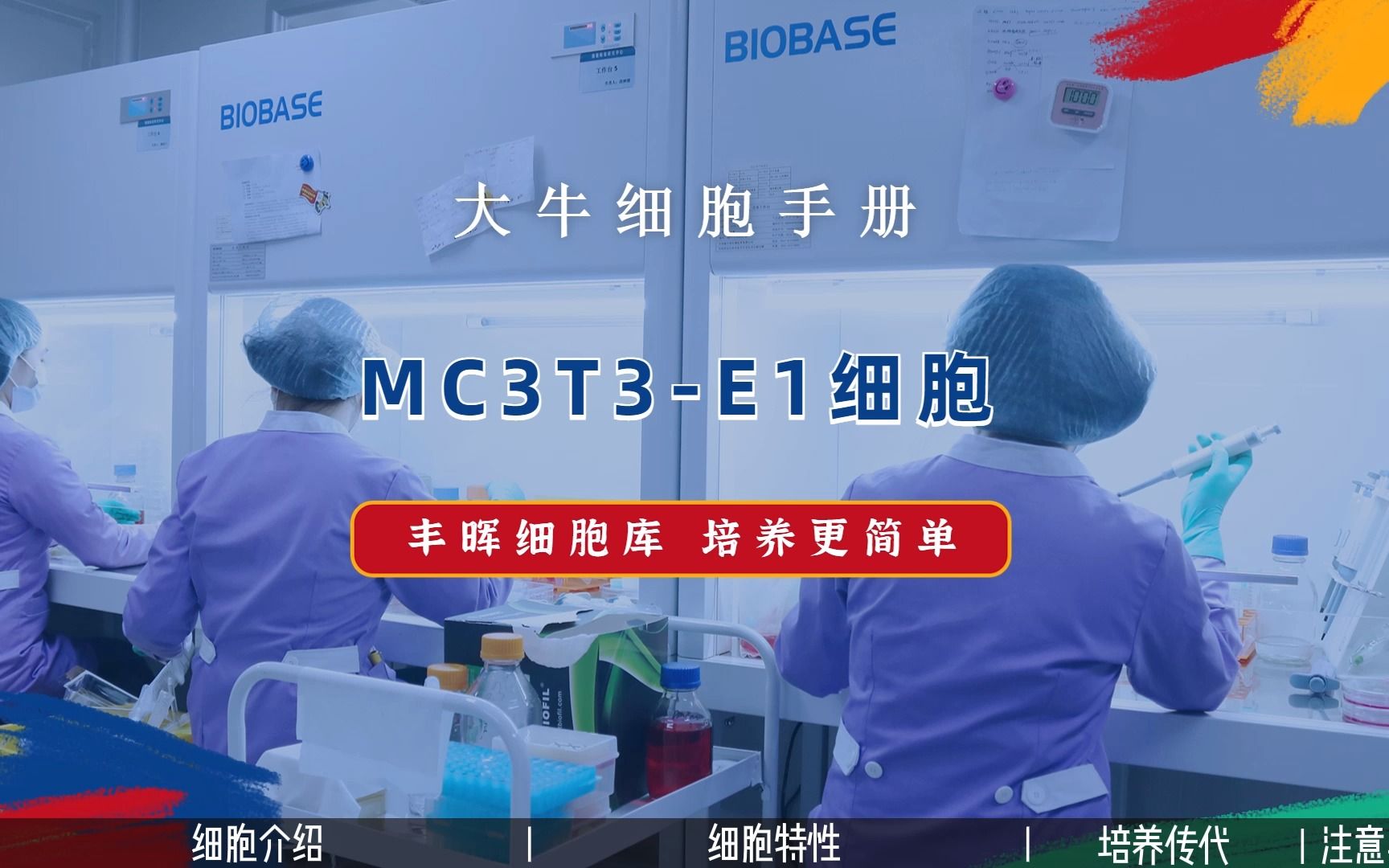 丰晖生物细胞库培养手册——MC3T3E1细胞培养,小鼠胚胎成骨细胞前体细胞培养攻略.哔哩哔哩bilibili