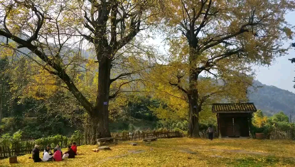 你也许不知道的武当山东、西神道的道家隐修场所——那些年,我在武当学艺住过的地方哔哩哔哩bilibili