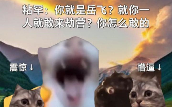 【猫meme*俄罗斯meme】粘罕:我有十万人马,岳飞一个人咋敢来劫营的??哔哩哔哩bilibili